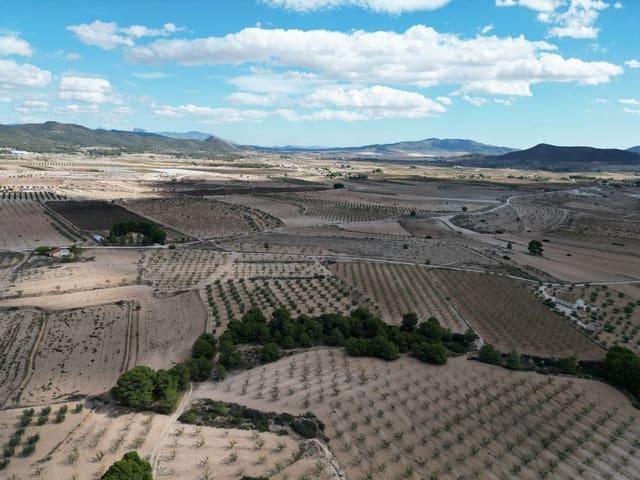 Solar/Parcela en venta en Pinoso, Alicante