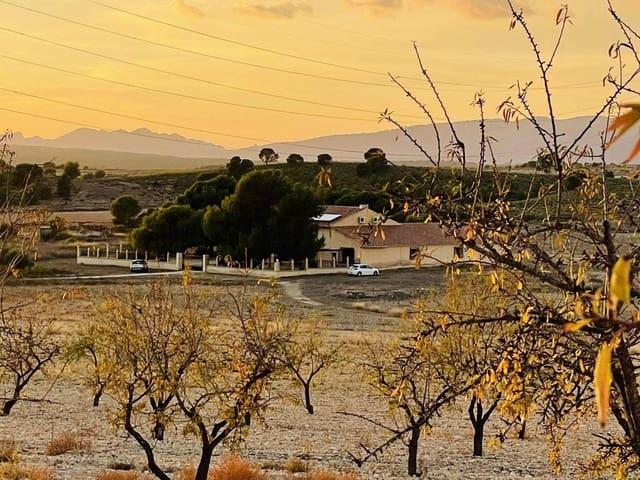 Solar/Parcela en venta en Pinoso, Alicante