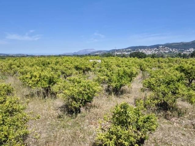 Solar/Parcela en venta en Tormos, Alicante Costa Blanca