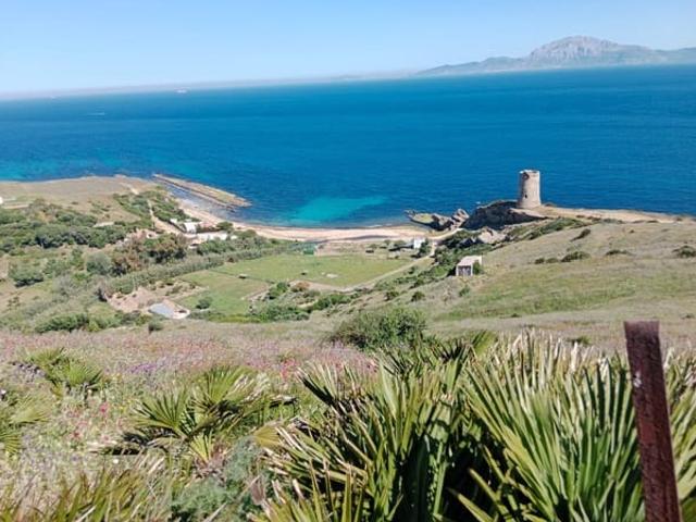 Solar/Parcela en venta en Tarifa, Cádiz Costa de la Luz