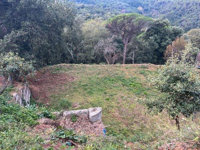 Solar/Parcela en venta en Vallgorguina, Barcelona