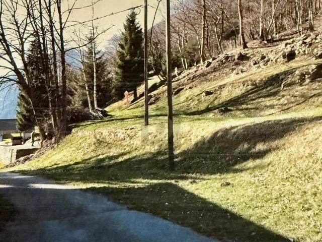 SOLEGGIATO E TRANQUILLO
