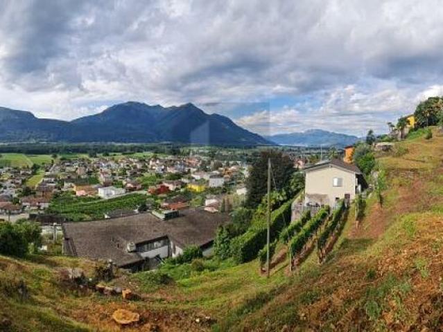 SOLEGGIATO E TRANQUILLO CON VISTA