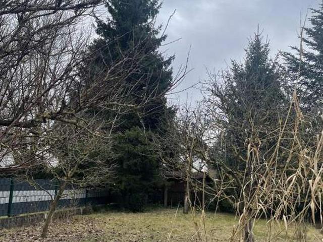 Solides Einfamilienhaus mit Keller im Herzen von Langholzfeld!