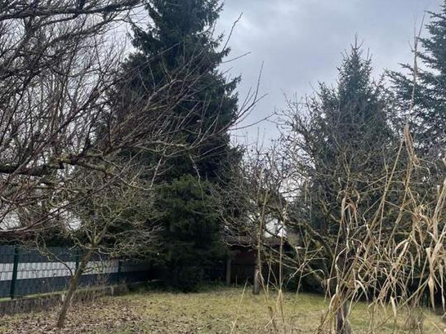 Solides Einfamilienhaus mit Keller im Herzen von Langholzfeld!