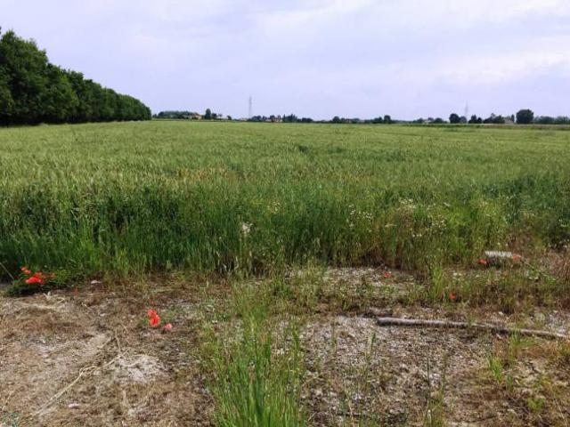 Soliera vendesi terreno agricolo 11340 Mq