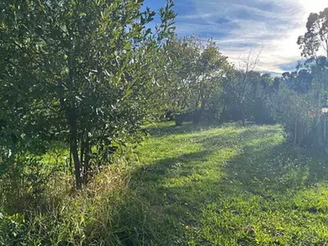 Solliès Pont 83210 Programme neuf terrain neuf à vendre