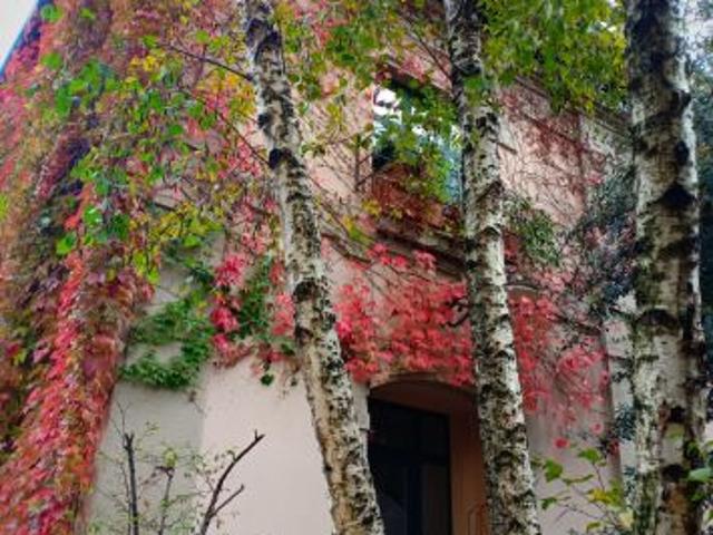 solo a ragazze monolocale zona navigli vicino a IED, NABA, BOCCONI,IULM