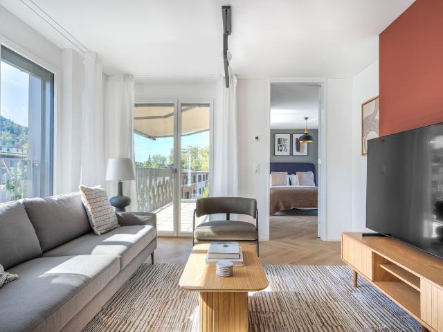 Sophisticated 1 Bedroom Apartment in Friesenberg, Zurich Amsterdam Apartments for Rent