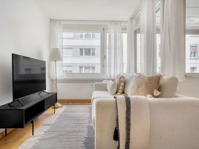 Sophisticated 1 Bedroom Furnished Apartment in Basel St. Alban, Basel Amsterdam Apartments for Rent