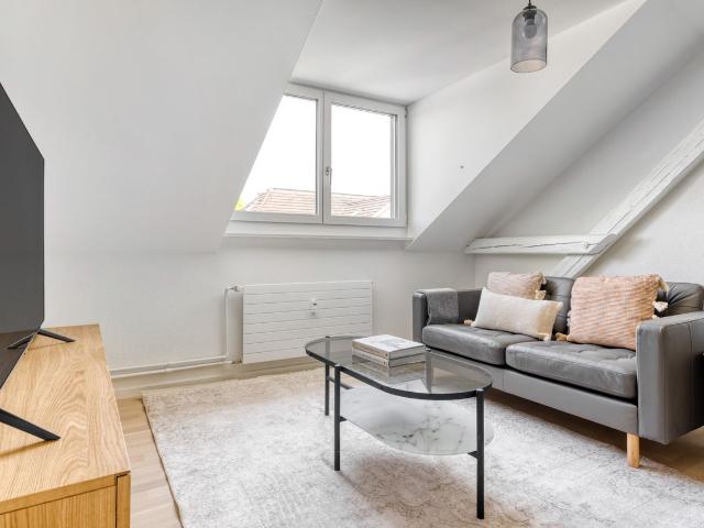 Sophisticated 1 Bedroom Furnished Apartment in Hottingen, Zurich Amsterdam Apartments for Rent