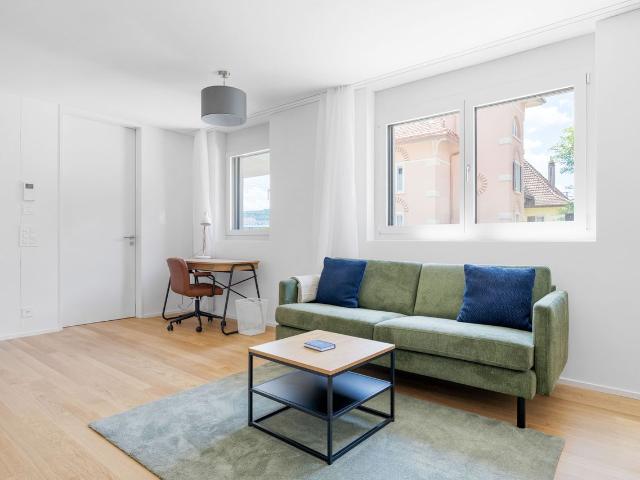 Sophisticated 1 Bedroom Furnished Apartment in Seebach, Zurich Amsterdam Apartments for Rent