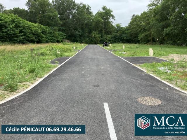 Sort en Chalosse Vente Terrain 40