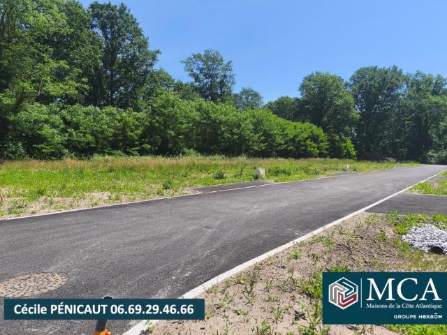 Sort en Chalosse Vente Terrain 40