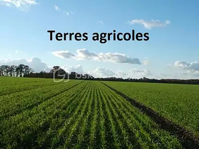 Sort en Chalosse 40180 Achat / Vente terrain