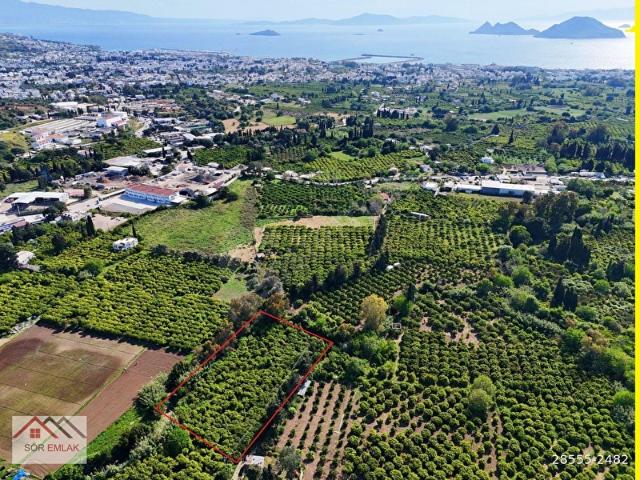 SÖR EMLAK'TAN MERKEZİ KONUM 3.760m2 EMSALSİZ NARENCİYE BAHÇESİ
