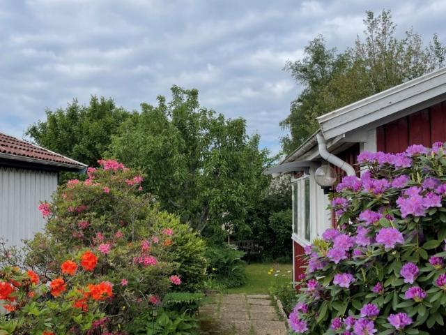 Sörbackens Koloniområde nr 44