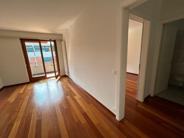 SORENGO APARTMENT 2.5 ROOMS FOR RENT