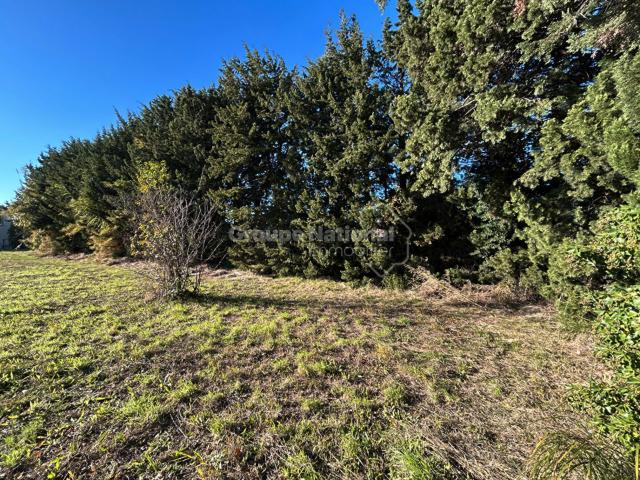 Sorgues Vente Terrain 84
