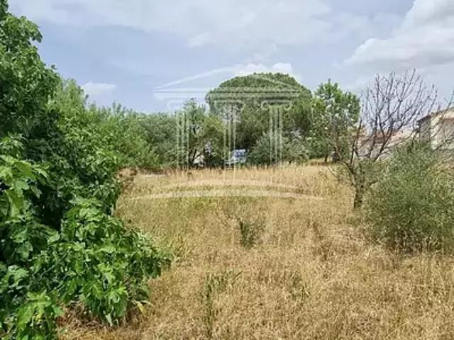 Sorgues 84700 Achat / Vente terrain