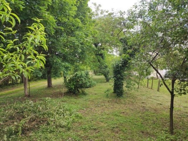 Sorigny Vente Terrain 37