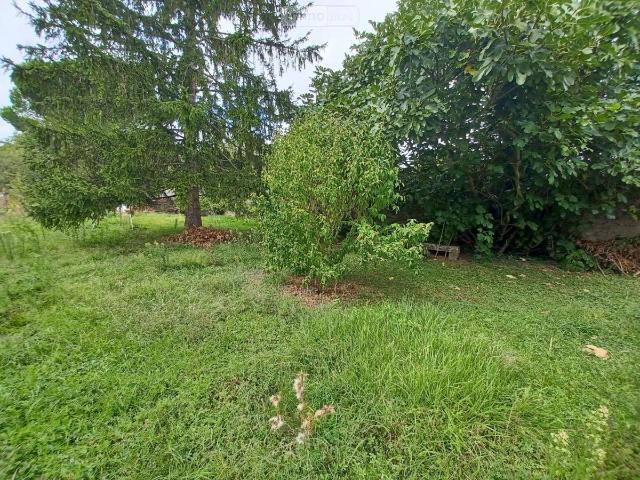 Sorigny Vente Terrain 37