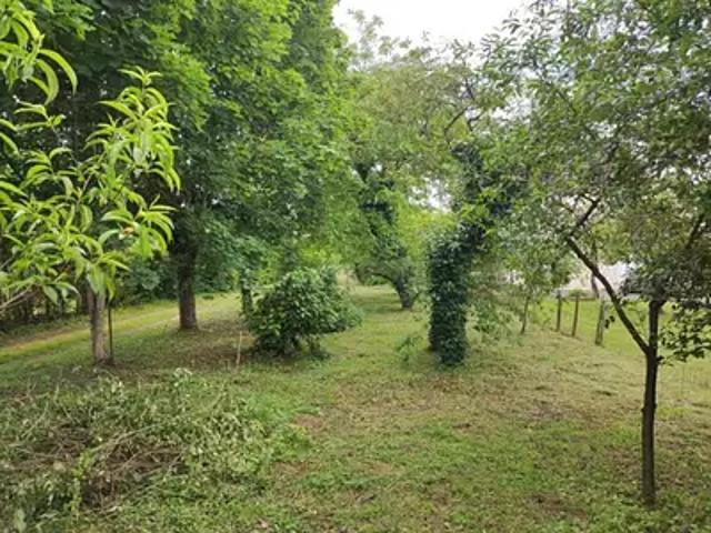 Sorigny 37250 Programme neuf terrain neuf à vendre