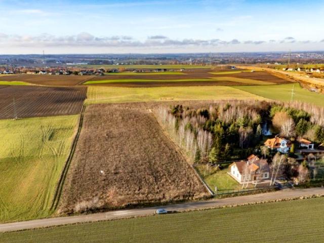 Sosnowa 1 000 m², Łapino