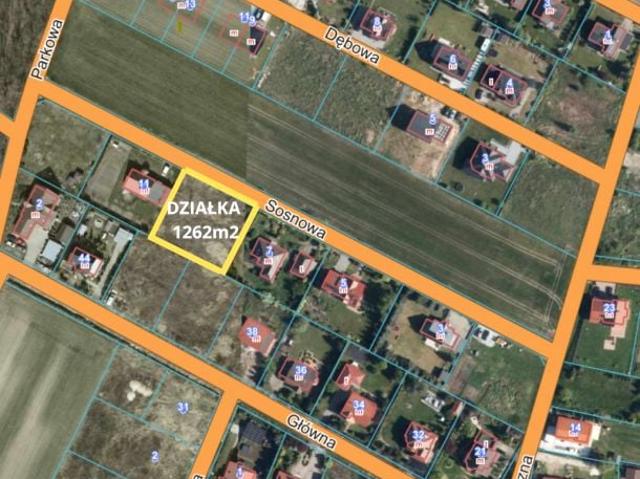 Sosnowa 1 262 m², Żurawiniec