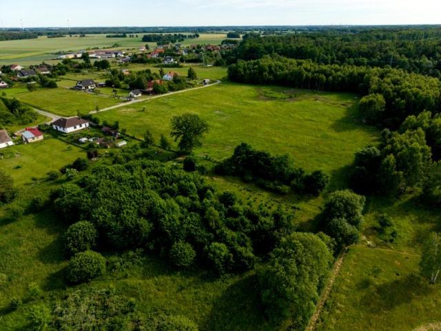 Sosnowa 1 325 m², Gałęzinowo