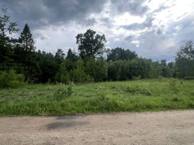 Sosnowa 1 673 m², Brudzewo