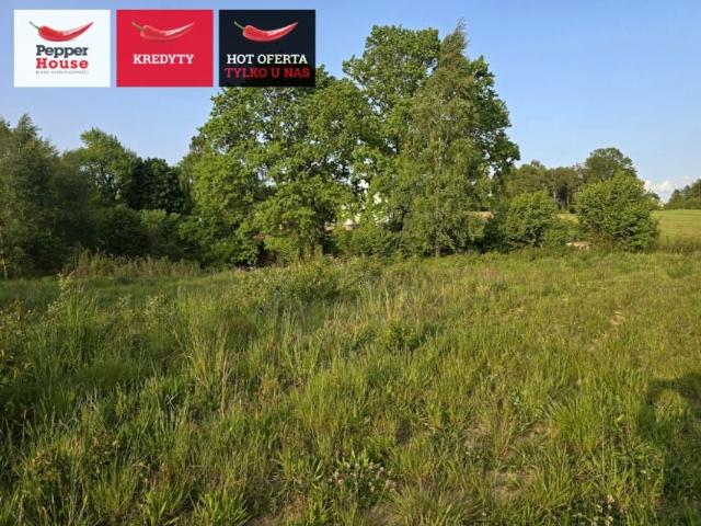 Sosnowa 1 938 m², Żukowo