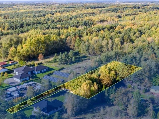Sosnowa 4 070 m², Kłobuck