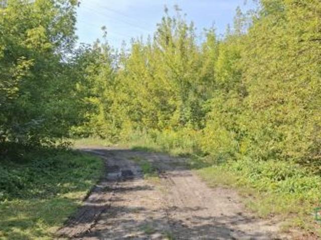 Sosnowiec, Niwka, ul. Wojska Polskiego, 23764 m² Działka