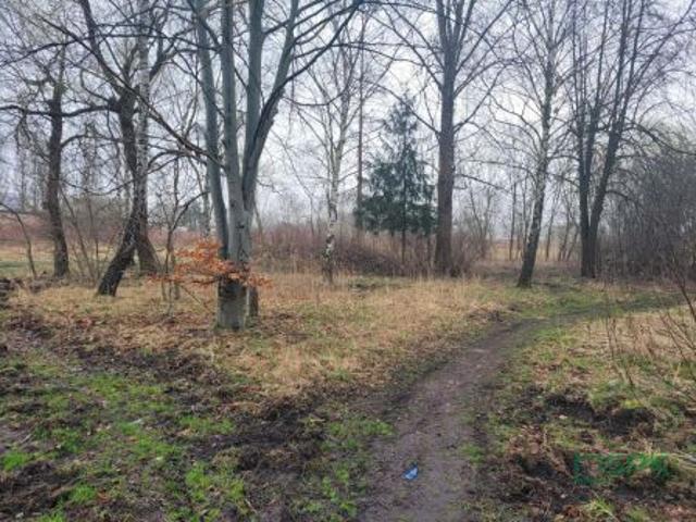 Sosnowiec, ul. Wagowa, 20517 m² Działka