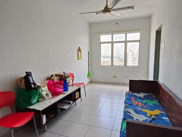 South city academia for SALE