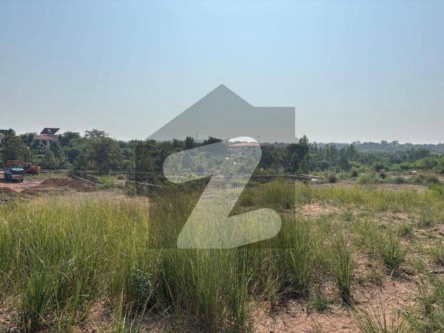 South Face | Level Plot | Closed End Street For Sale