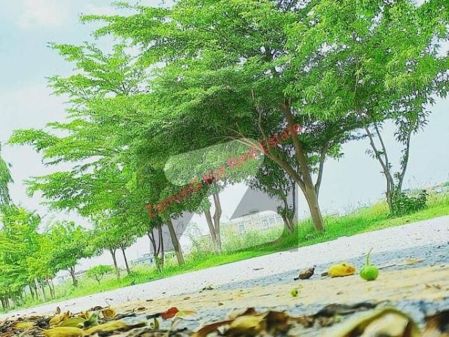 SOUTH Facing Plot | 50 Feet Wide Street | Kanal Open | VVIP Location