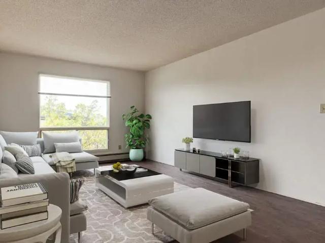 South Park Apartments Bachelor Apartment for Rent