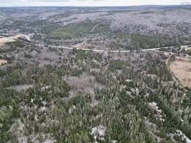 South River Lake Rd. Ogden, NS, B0H 1N0 vacant land for sale.