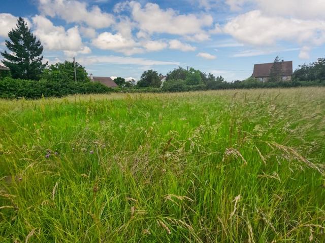 Souvigny Vente Terrain 03