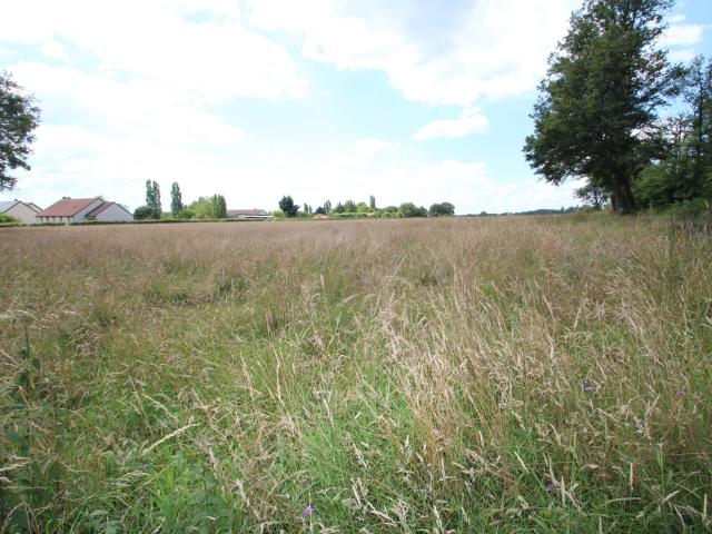Sougy sur Loire Vente Terrain 58