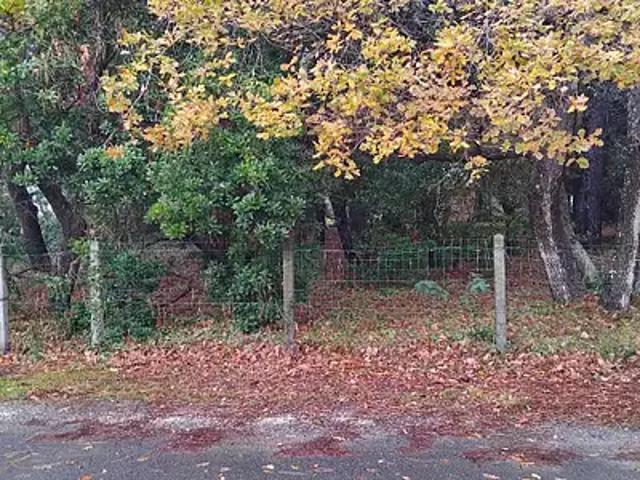 Soulac sur Mer 33780 Programme neuf terrain neuf à vendre