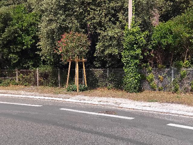 Soulac sur Mer Vente Terrain 33