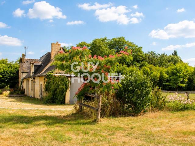 Soulaire et Bourg Vente Maison 49