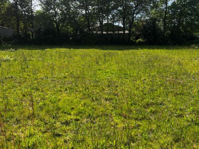 Soullans Vente Terrain 85