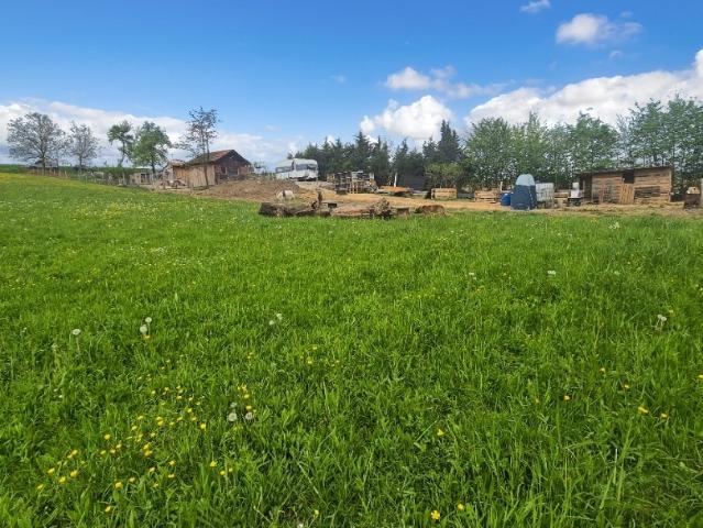 Soultz sous Forêts Vente Terrain 67