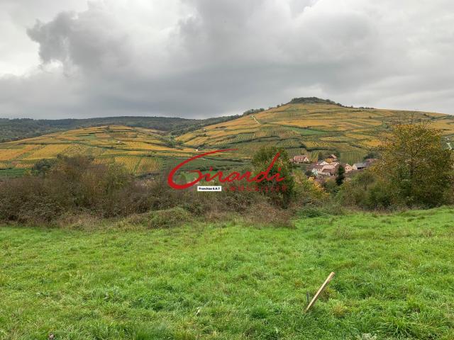 SOULTZMATT 68570 MAGNIFIQUE TERRAIN DE CONSTRUCTION SUR LES HAUTEURS DU VILLAGE DE 500 M2 ENTIEREMENT VIABIL