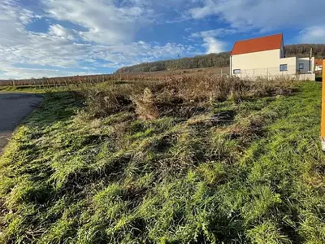 Soultzmatt 68570 Achat / Vente terrain