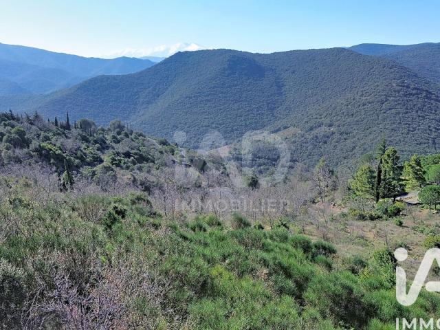 Sournia Vente Terrain 66